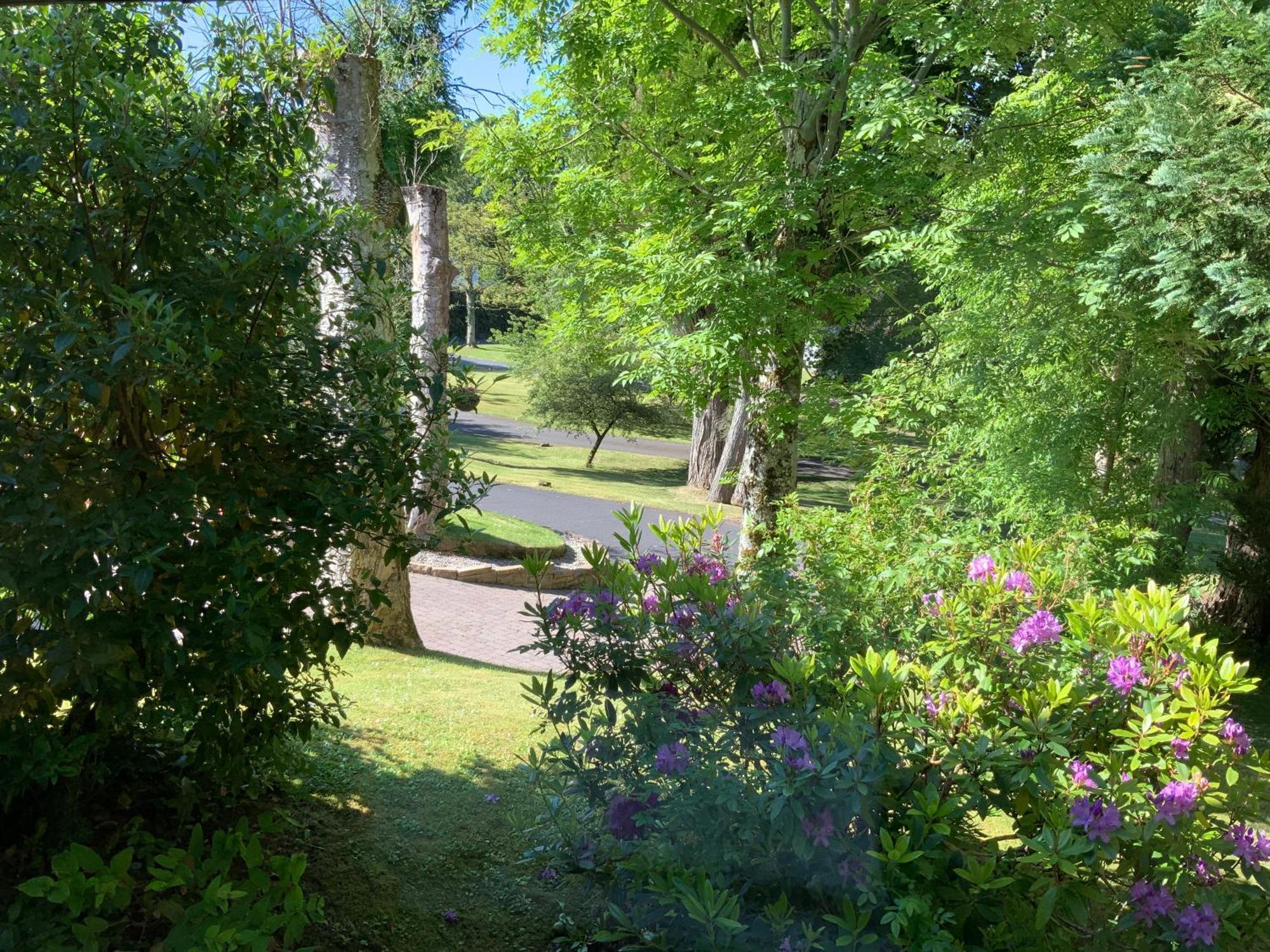 Havenwood Leilighet Ayr Eksteriør bilde